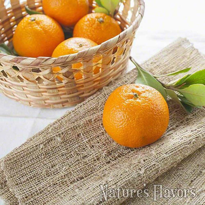 Mandarin Orange Flavor Concentrate, Organic