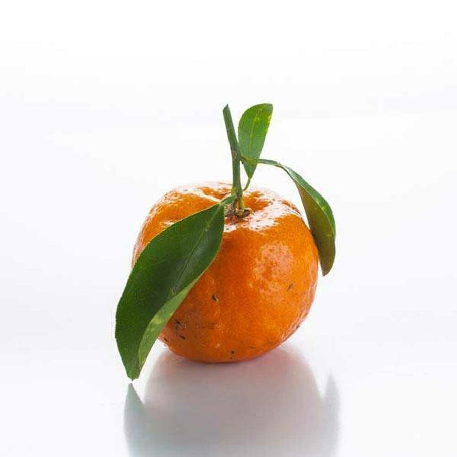 Mandarin Orange Flavor Oil, Natural