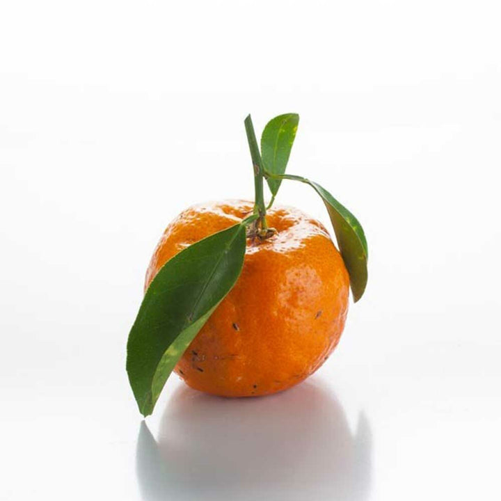 Organic Mandarin Orange Coffee and Tea Flavor Without Diacetyl