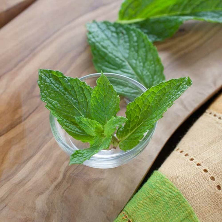 Menthol Flavor Concentrate, Organic