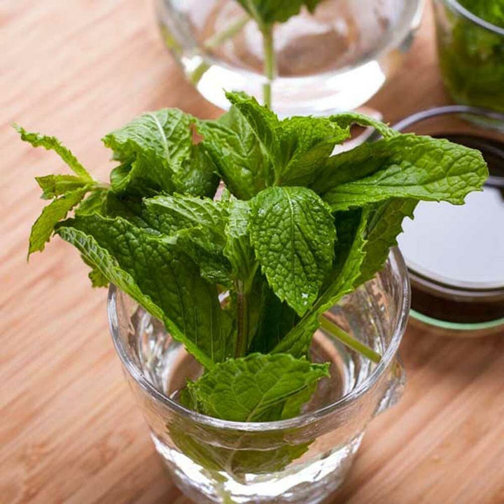 Menthol Flavor Oil, Natural