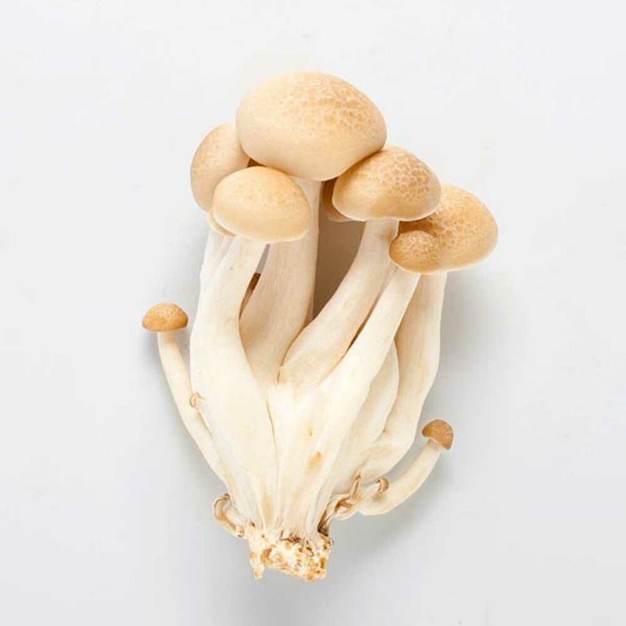 Mushroom Flavor Concentrate, Natural