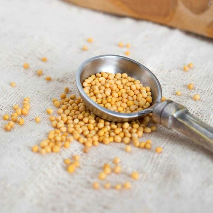 Mustard Seed Flavor Extract, Organic