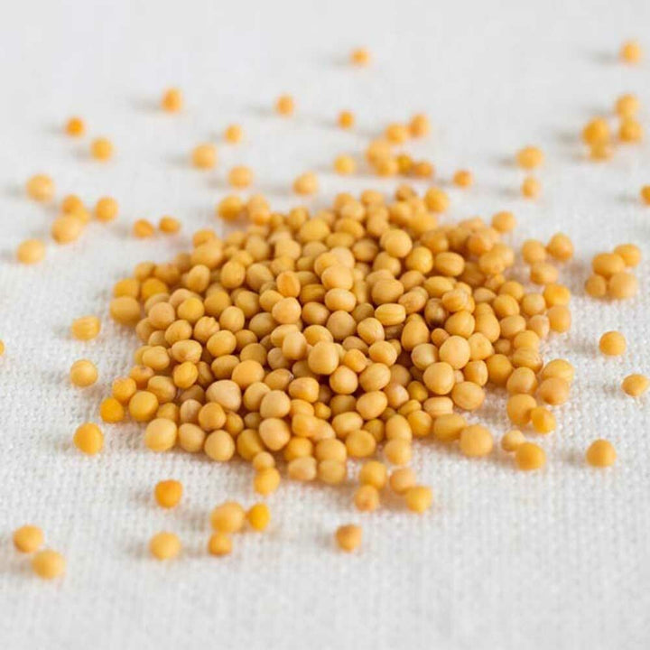 Mustard Seed Flavor Extract Without Diacetyl