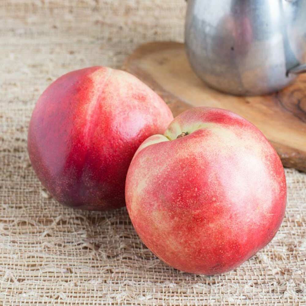 Organic Nectarine Flavor Extract Without Diacetyl
