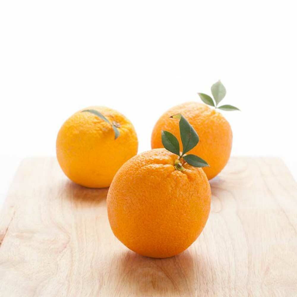 Orange Cotton Candy (Ready to Eat)