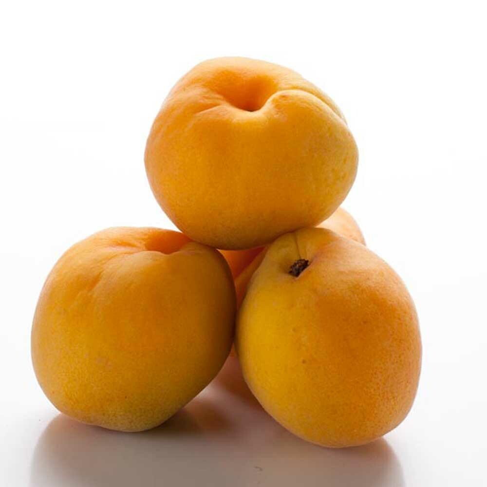 Organic Apricot Coffee and Tea Flavoring