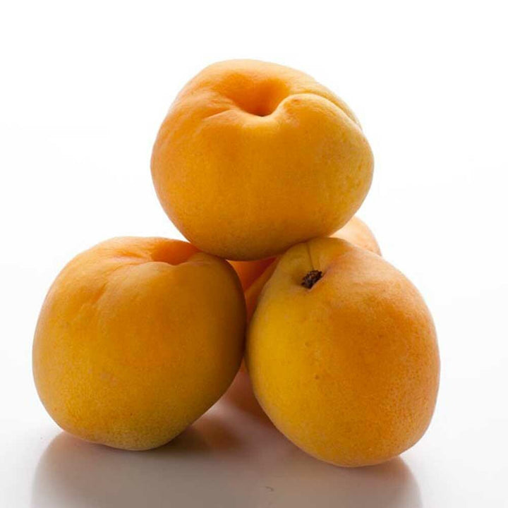 Organic Apricot Coffee and Tea Flavoring