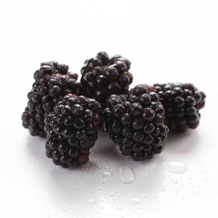 Organic Boysenberry Coffee and Tea Flavoring