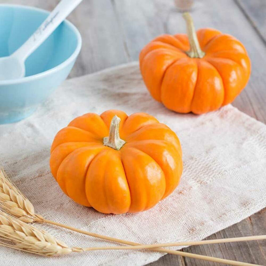 Pumpkin Spice Flavoring for Coffee & Tea, Organic