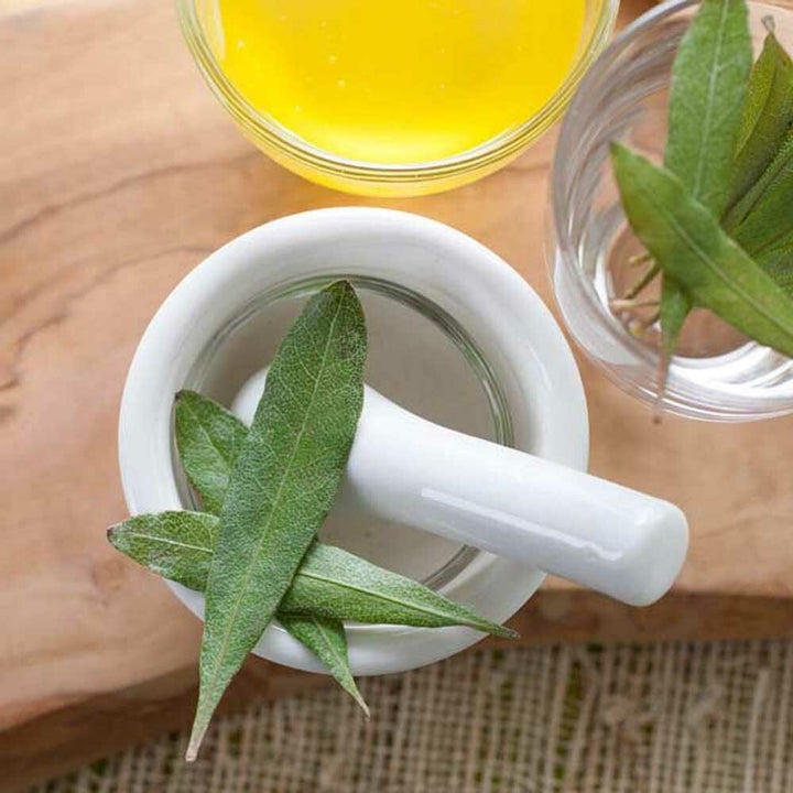 Tea Tree Flavor Oil, Organic