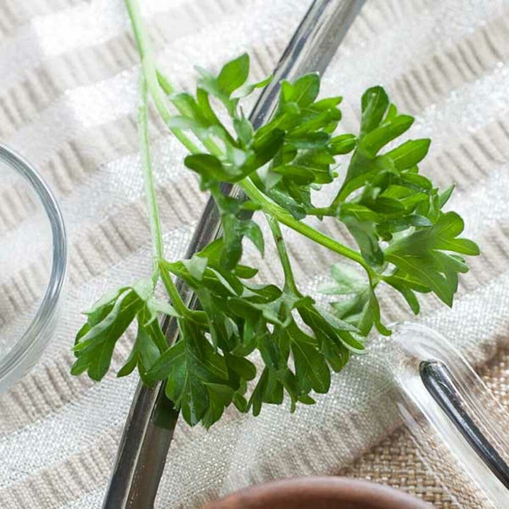 Parsley Flavor Extract, Organic