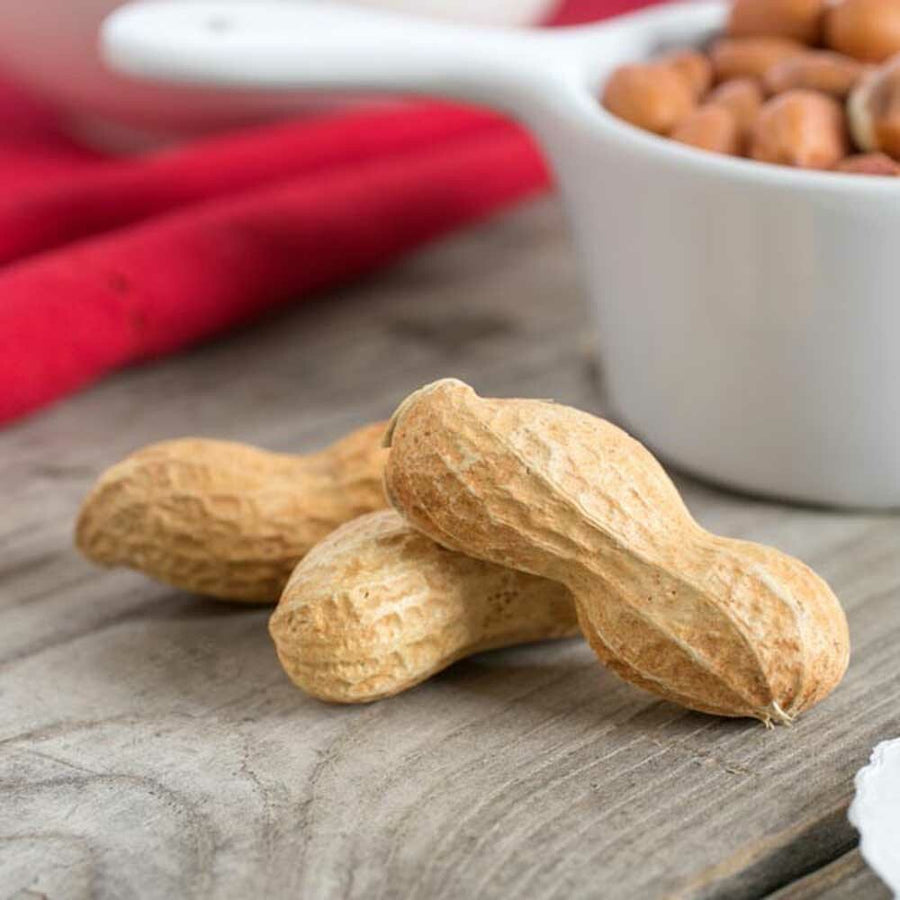 Peanut Flavor Concentrate, Natural