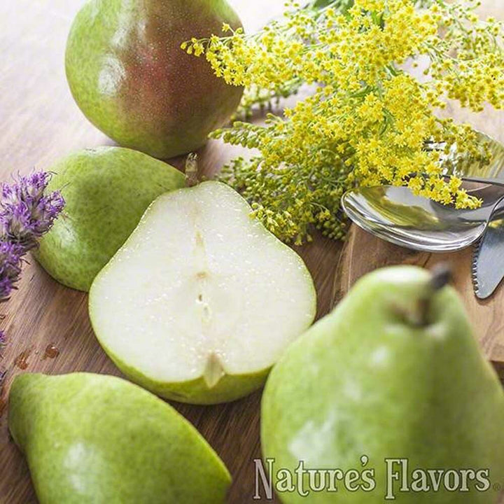 Pear Flavor Concentrate, Organic