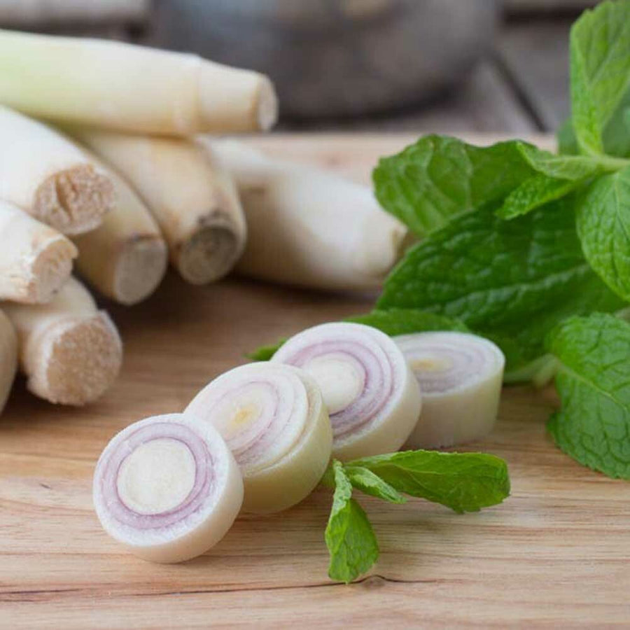 Peppermint Lemongrass Flavor Extract, Natural