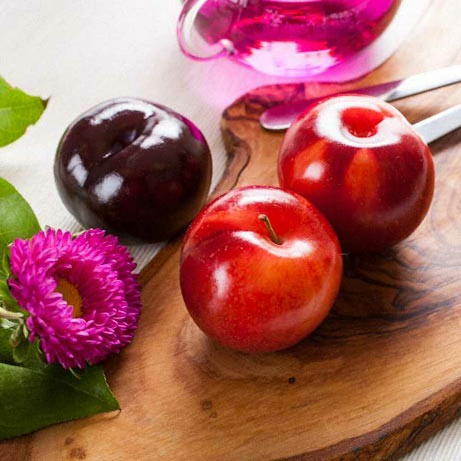 Plum Flavor Concentrate, Organic