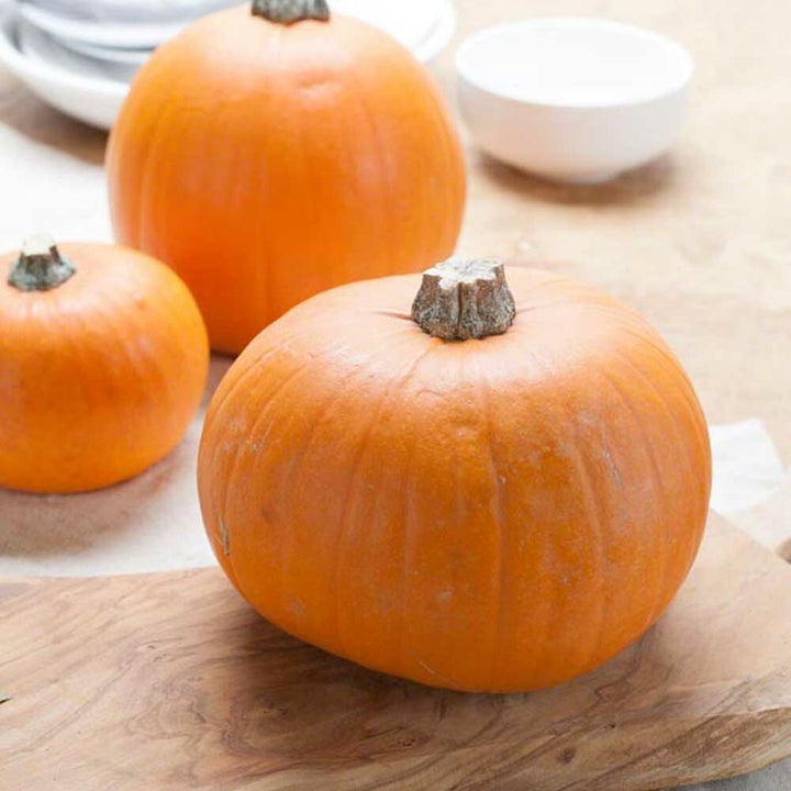 Organic Pumpkin Flavor Extract Without Diacetyl
