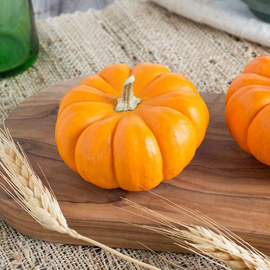 Pumpkin Flavor Extract Without Diacetyl