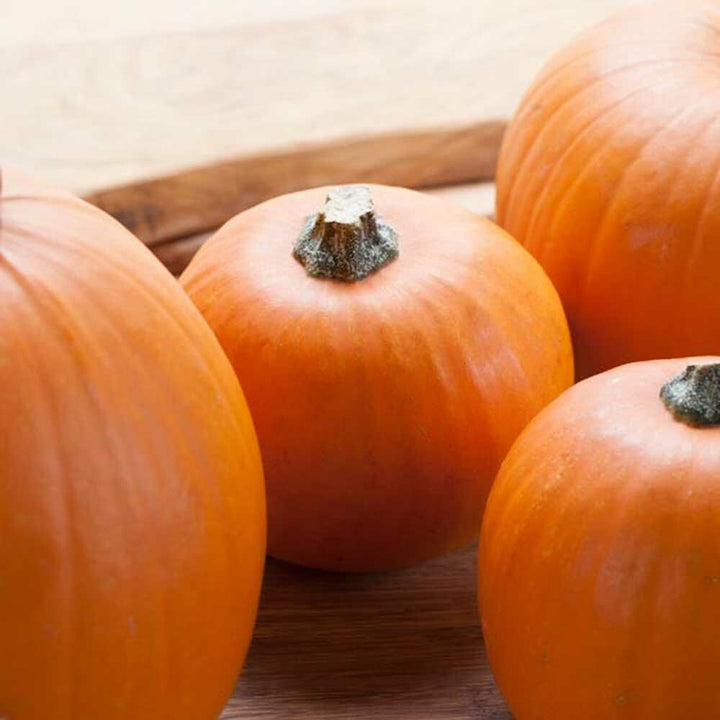 Organic Pumpkin Coffee and Tea Flavor Without Diacetyl