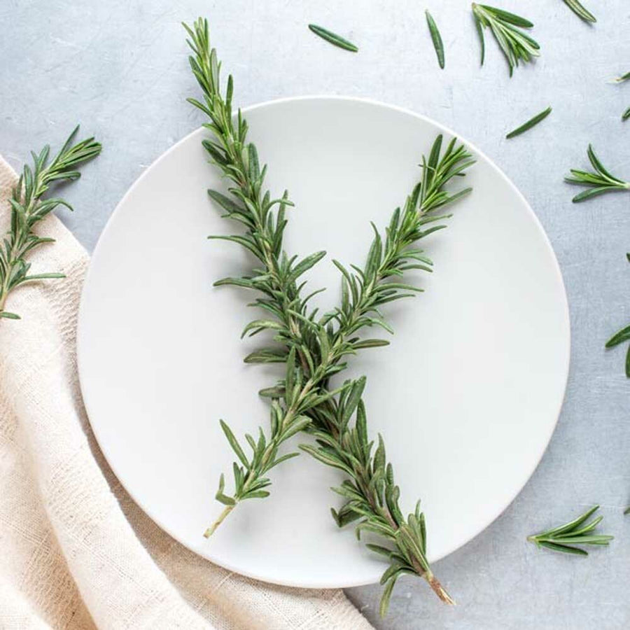 Rosemary Flavor Concentrate, Organic