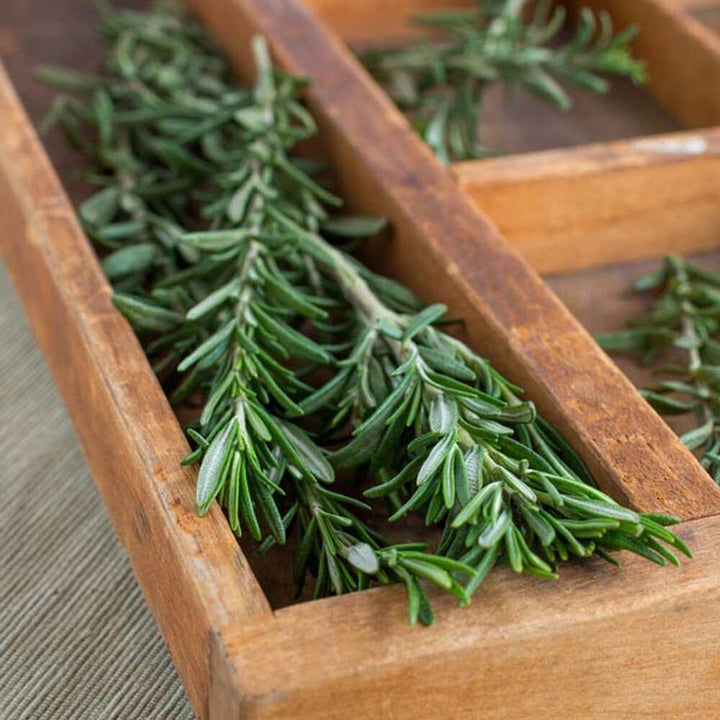 Rosemary Flavor Extract, Organic