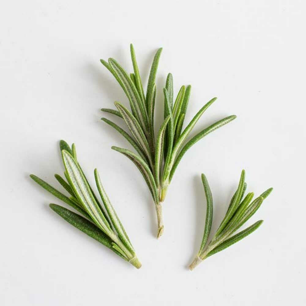 Organic Rosemary Flavor Extract Without Diacetyl