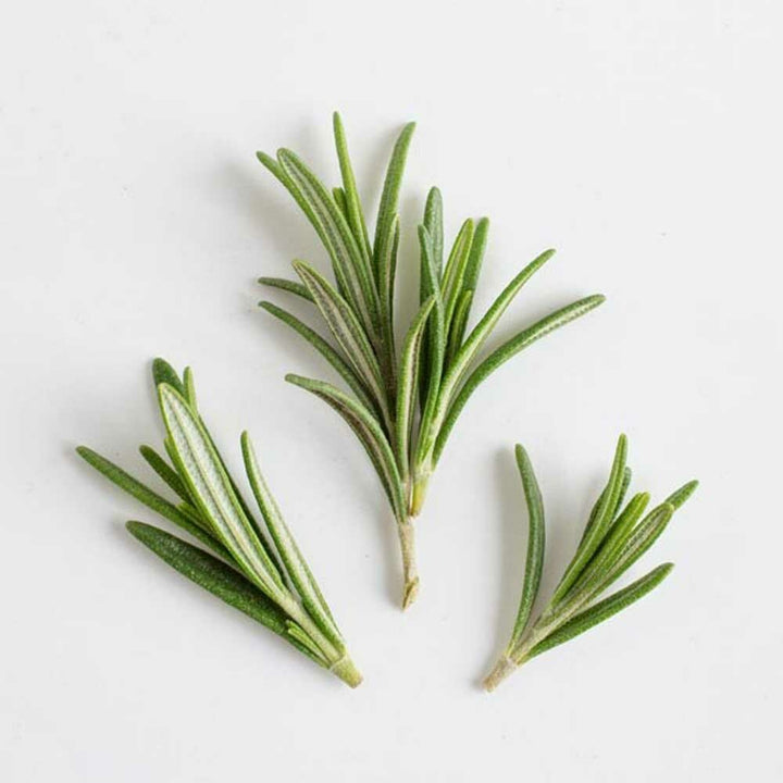 Organic Rosemary Flavor Extract Without Diacetyl