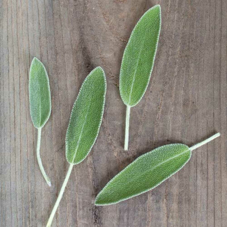 Sage Flavor Extract Without Diacetyl