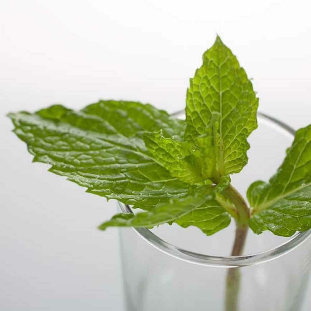 Spearmint Fragrance Emulsion (Water Soluble)