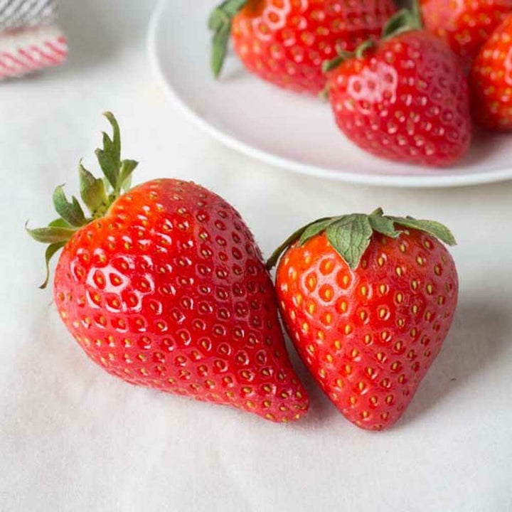 Organic Strawberry Flavor Extract Without Diacetyl (Mid Season)