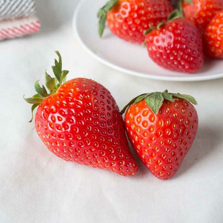 Strawberry Lime Flavor Concentrate, Natural