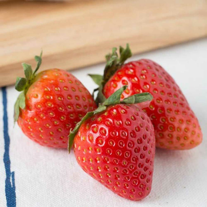 Strawberry Lime Flavor Concentrate, Organic