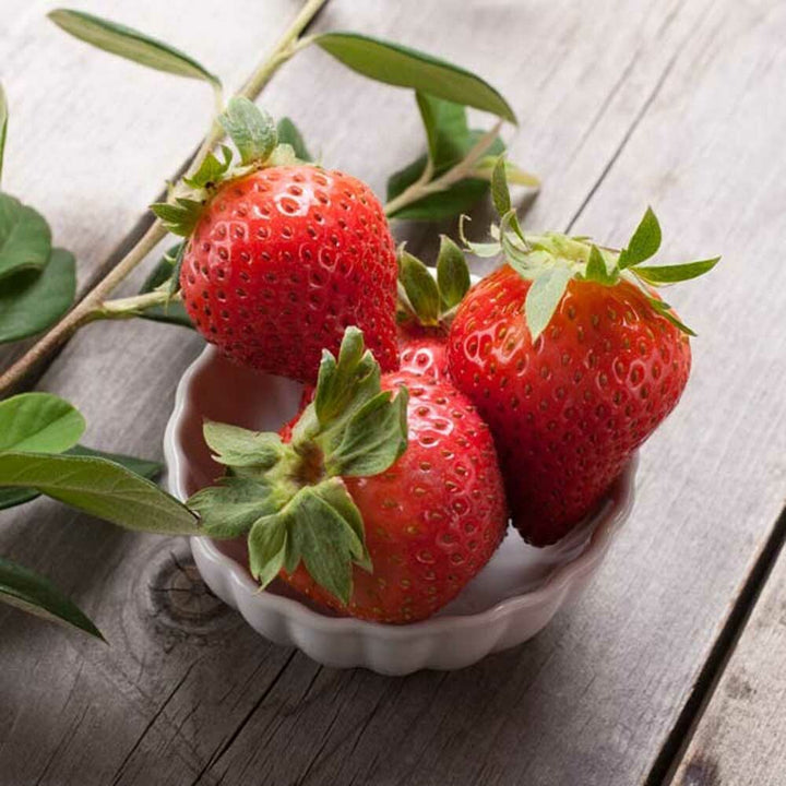 Strawberry Lime Flavor Extract, Organic