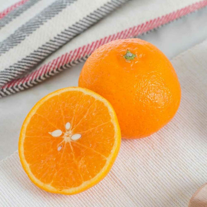 Tangerine Flavor Concentrate, Organic