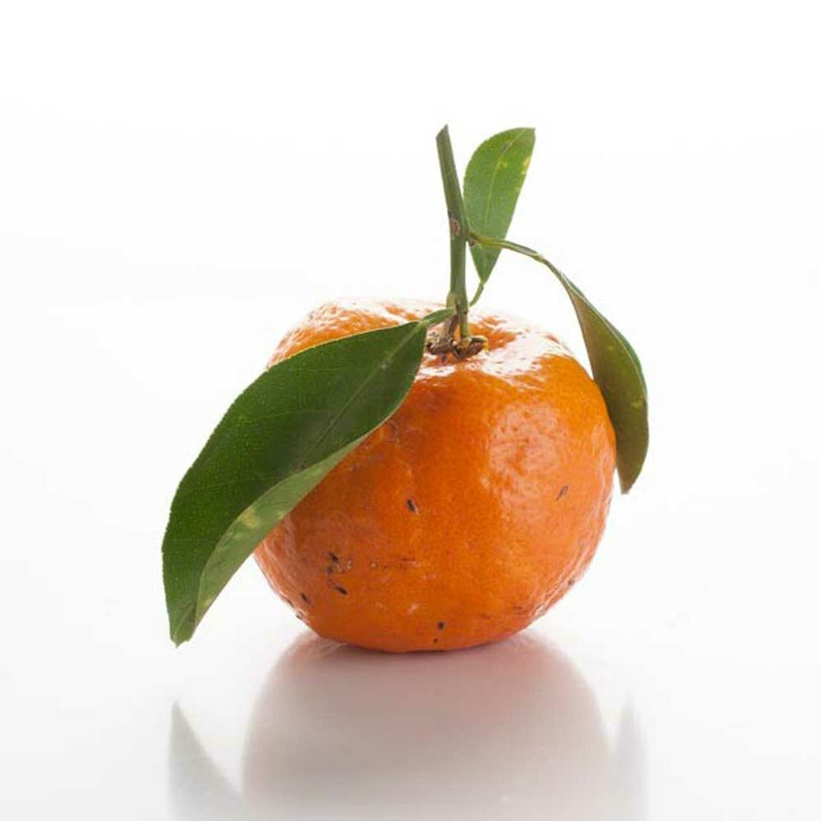 Pure Tangerine Oil
