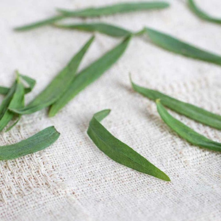 Organic Tarragon Leaf Flavor Concentrate Without Diacetyl