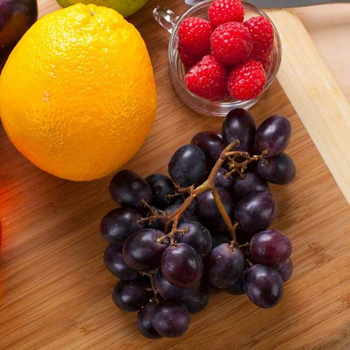 Tutti-Frutti Flavor Concentrate, Natural