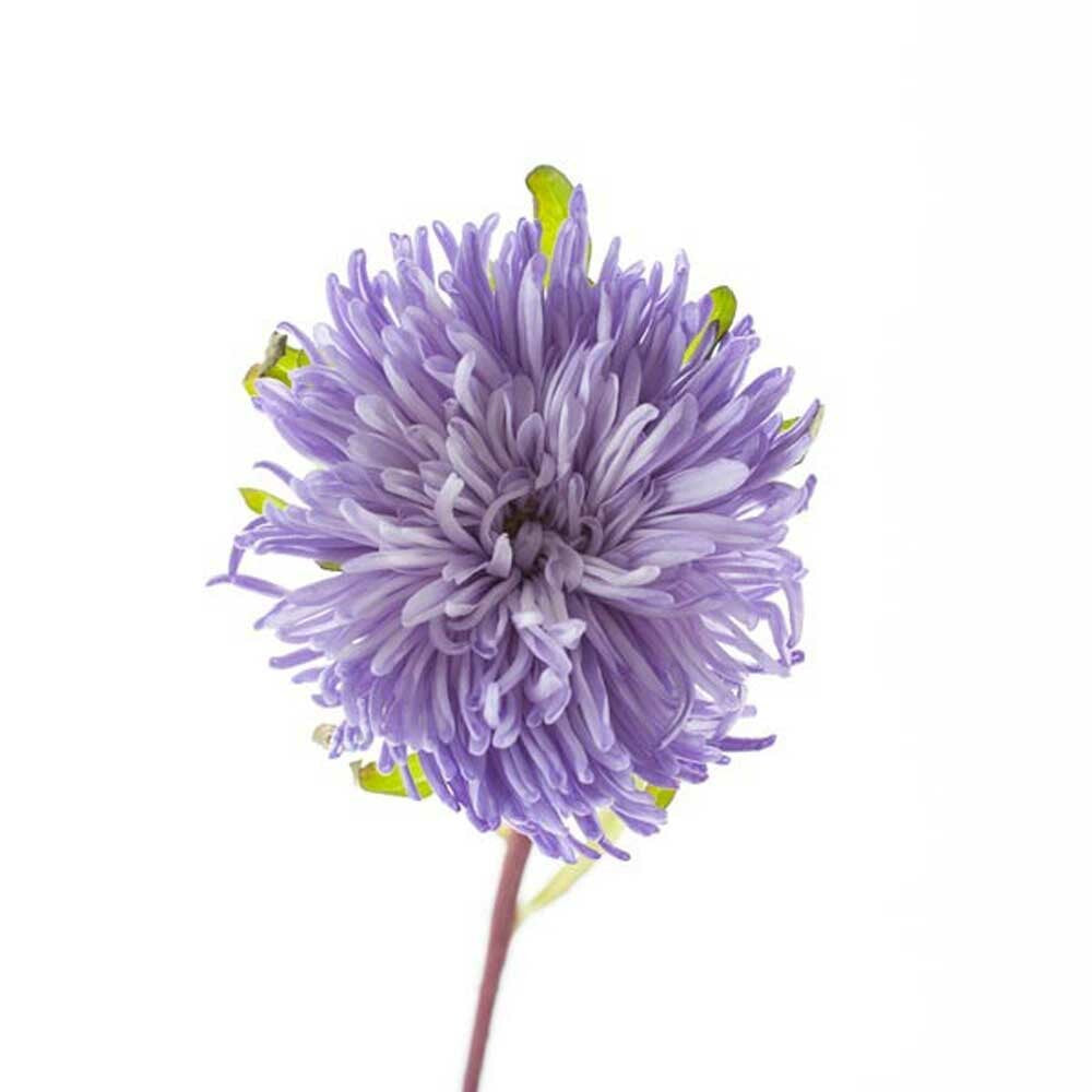 Organic Violet Flavor Extract Without Diacetyl – Nature's Flavors