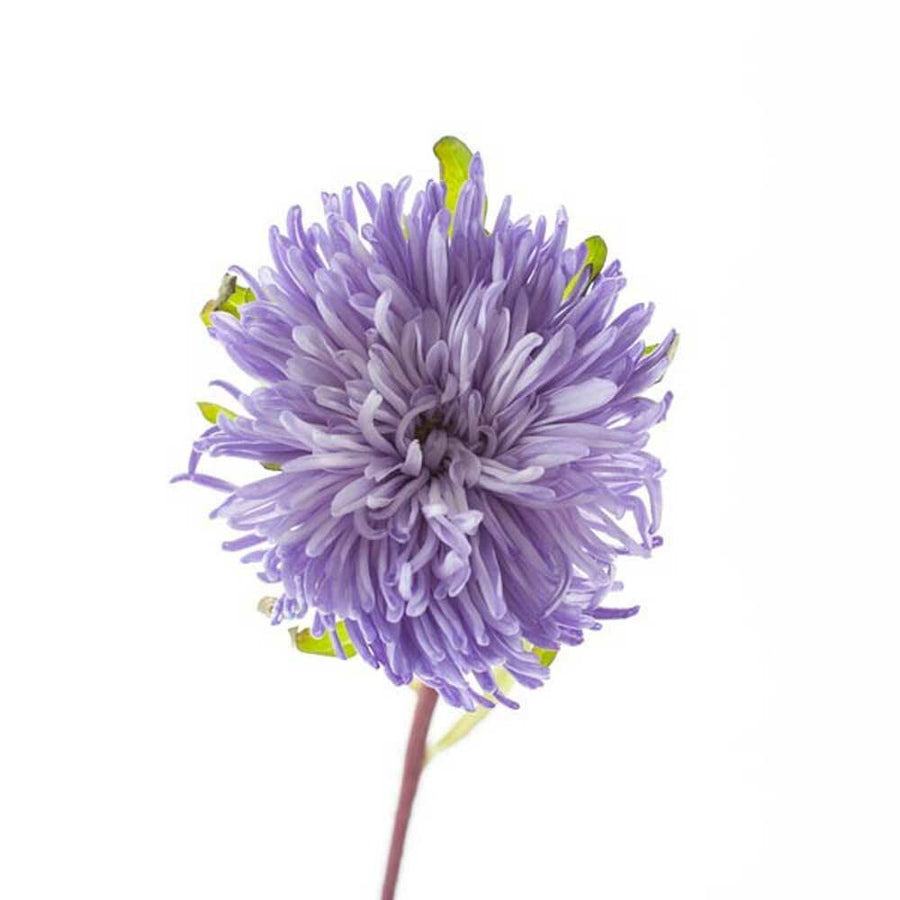 Violet Flavor Extract Without Diacetyl